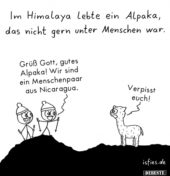 Alpaka, Menschen, Gott