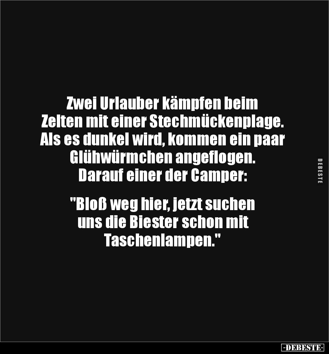 Zwei Urlauber kämpfen beim 
Zelten mit einer Stechmückenplage. Als es dunkel wird, kommen ein paar Glühwürmchen angeflogen. ...
