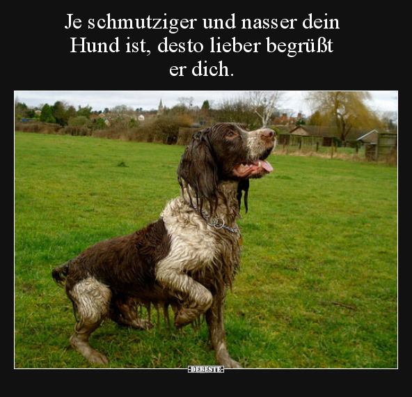 Je schmutziger und nasser dein Hund ist, desto lieber..