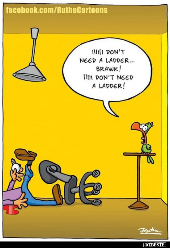 Iii don't need a ladder... 
Brawk! Iiiii don't need a ladder!