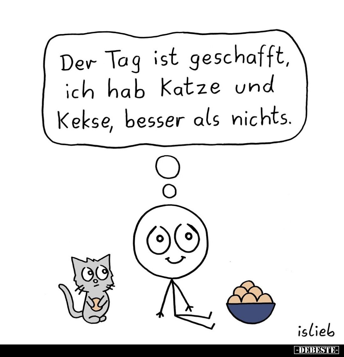 Der Tag ist geschafft, ich hab Katze und Kekse, besser als nichts.