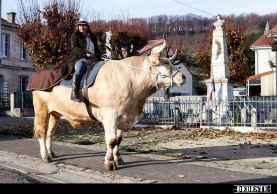  - Lustige Bilder | DEBESTE.de