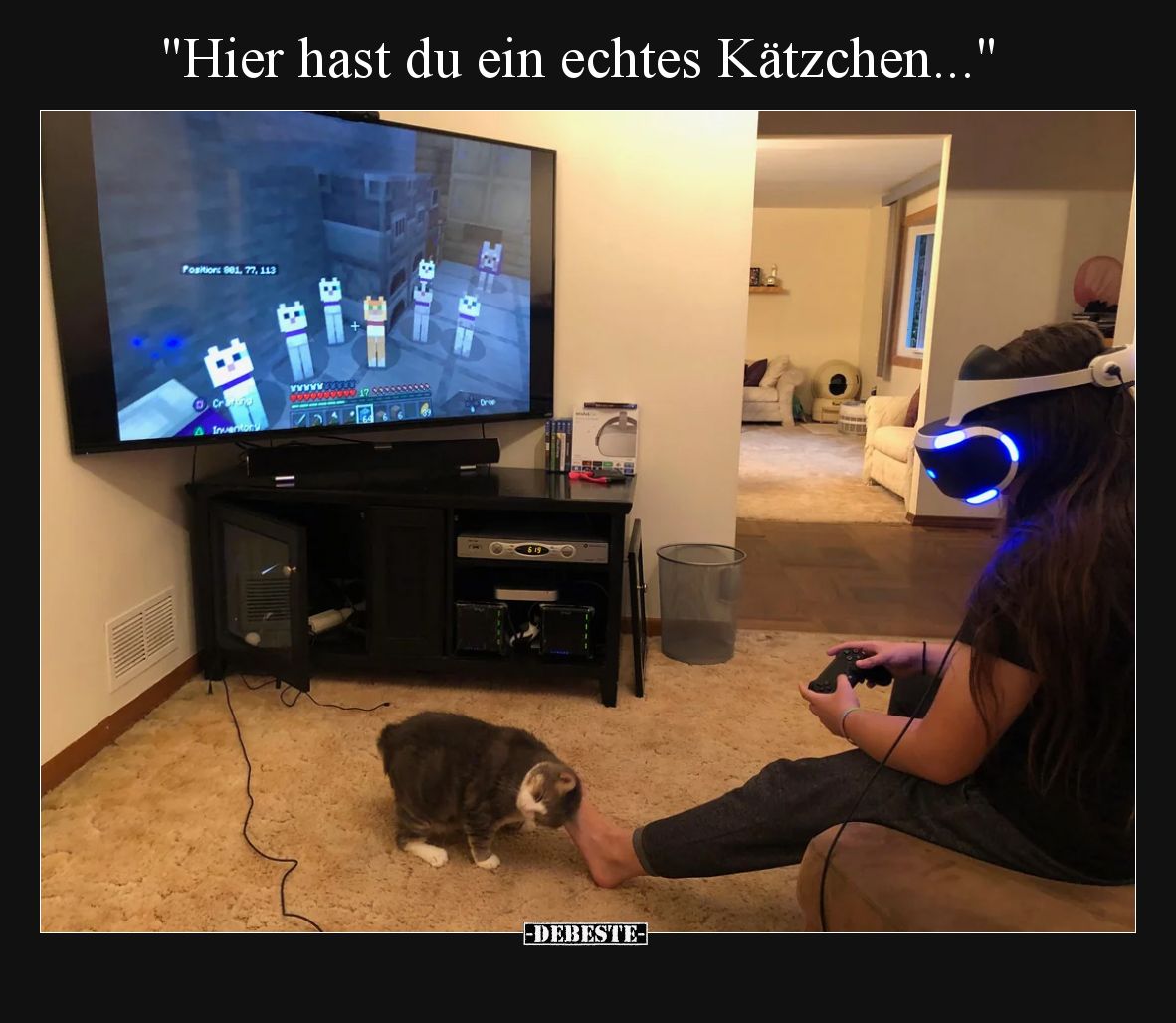 Hier hast du ein echtes Kätzchen.