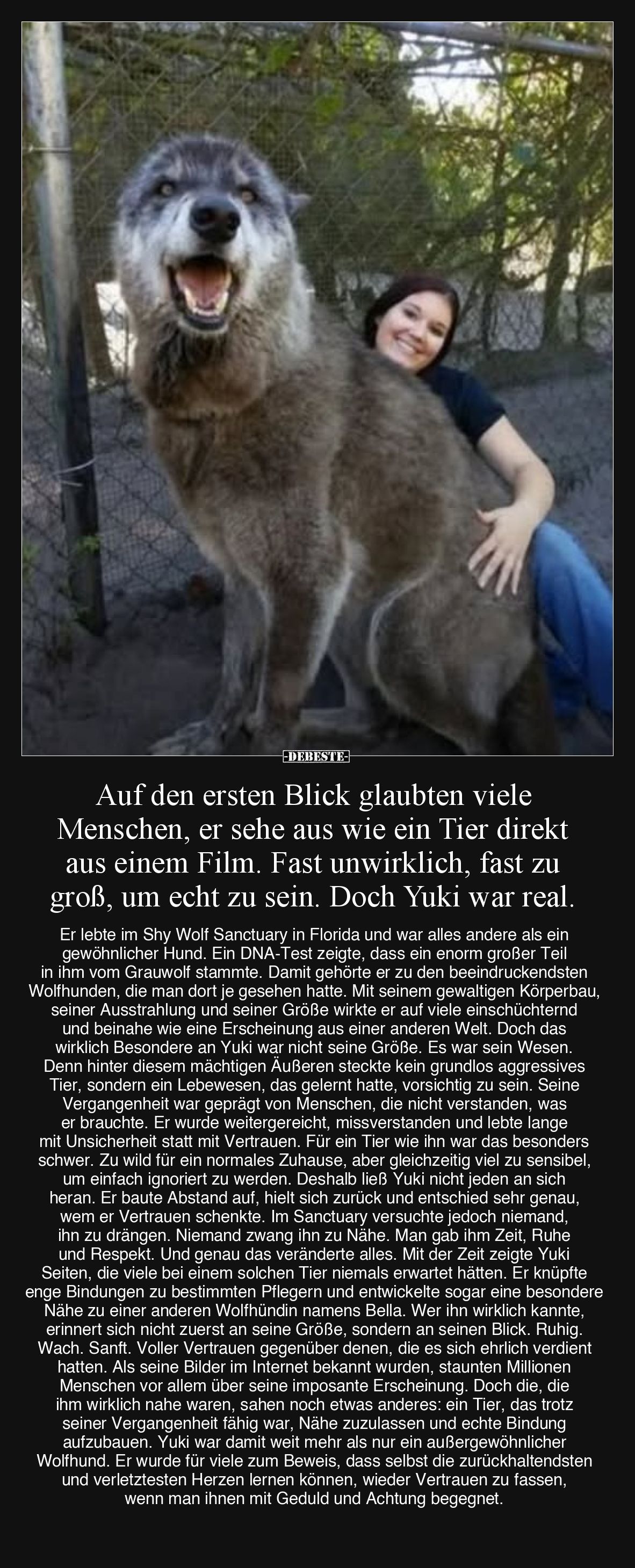 Auf den ersten Blick glaubten viele Menschen... - Lustige Bilder | DEBESTE.de