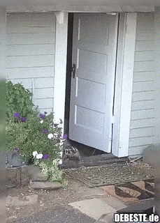 Immer am 1. wenn die Miete fällig wird...