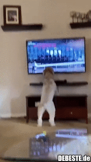 ☺ - Lustige Bilder | DEBESTE.de