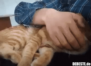 Niemand, wirklich niemand sagte aufhören..