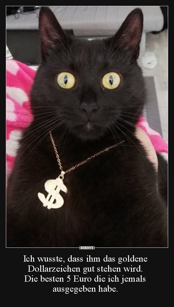 Ich wusste, dass ihm das goldene Dollarzeichen gut stehen..