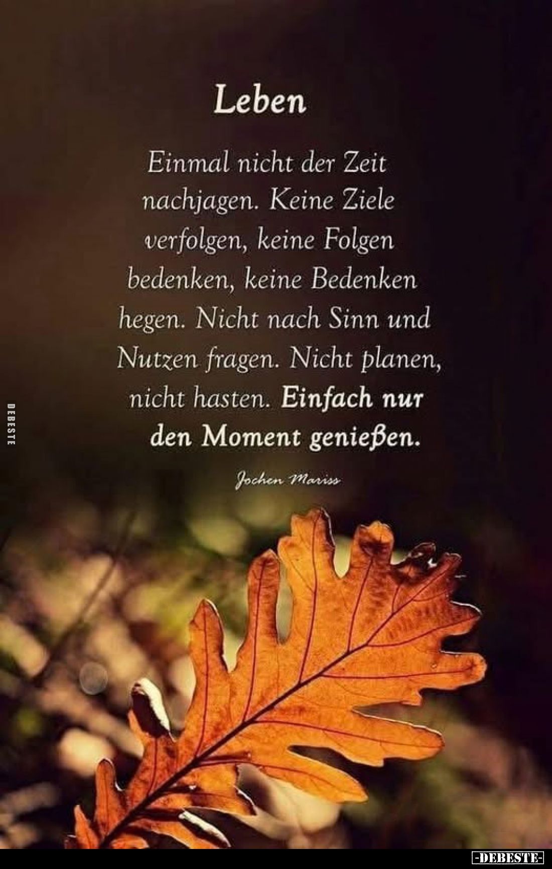 Leben
-
Einmal nicht der Zeit nachjagen. Keine Ziele verfolgen, keine Folgen bedenken, keine Bedenken hegen. Nicht nach Sin...