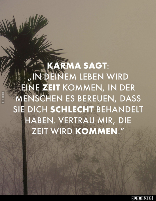 Karma sagt: in deinem Leben wird eine Zeit kommen.. - Lustige Bilder | DEBESTE.de