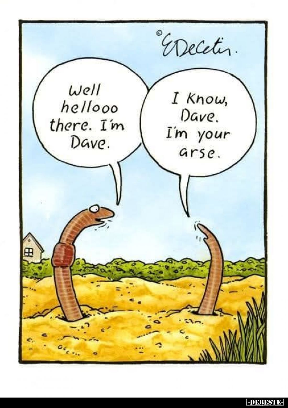 Well hellooo there. I'm Dave. -
I know, Dave. I'm your arse.