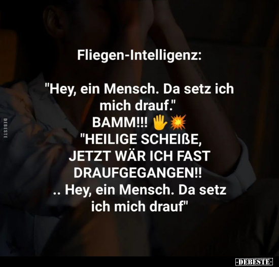 Fliegen-Intelligenz: "Hey, ein Mensch. Da setz ich mich.." - Lustige Bilder | DEBESTE.de
