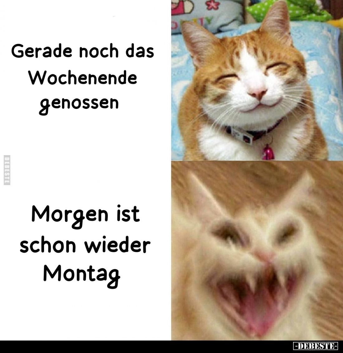 Gerade noch das Wochenende genossen
-
Morgen ist schon wieder Montag