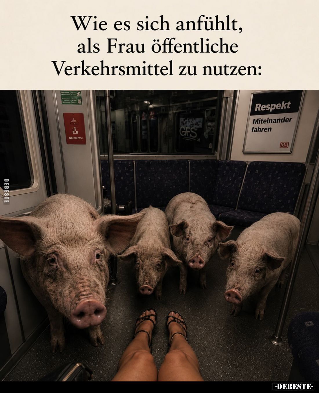 Wie es sich anfühlt, als Frau öffentliche
Verkehrsmittel zu nutzen: