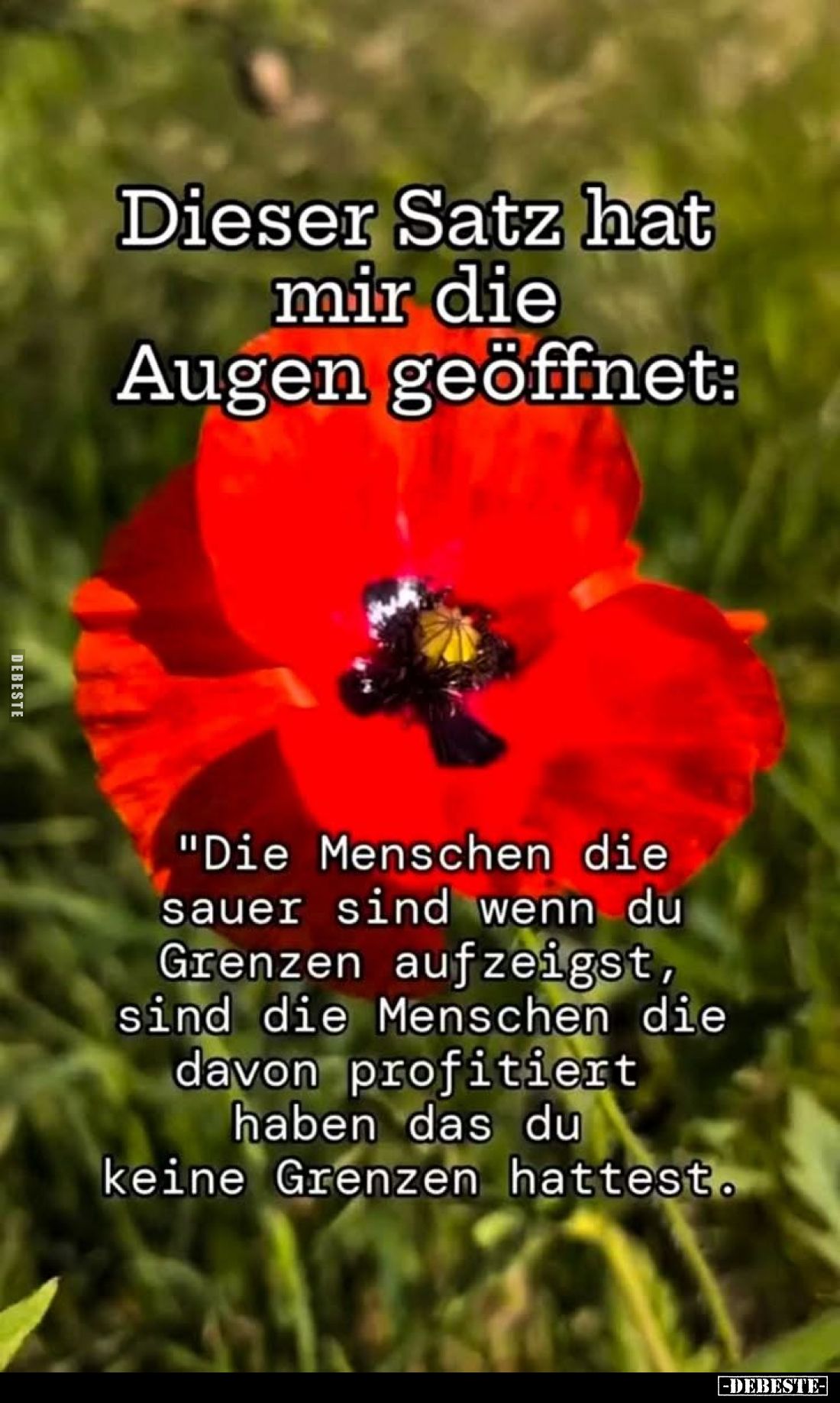 Dieser Satz hat mir die Augen geöffnet:
"Die Menschen die sauer sind wenn du Grenzen aufzeigst, sind die Menschen die d...