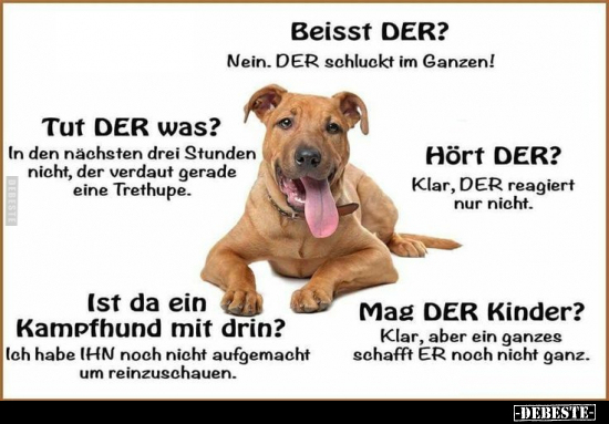  - Lustige Bilder | DEBESTE.de