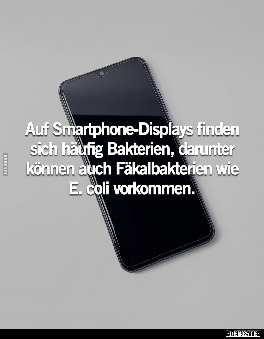 Auf Smartphone-Displays finden sich häufig Bakterien, darunter können auch Fäkalbakterien wie E. coli vorkommen.