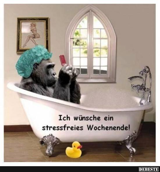 Ich wünsche ein stressfreies Wochenende! - Lustige Bilder | DEBESTE.de