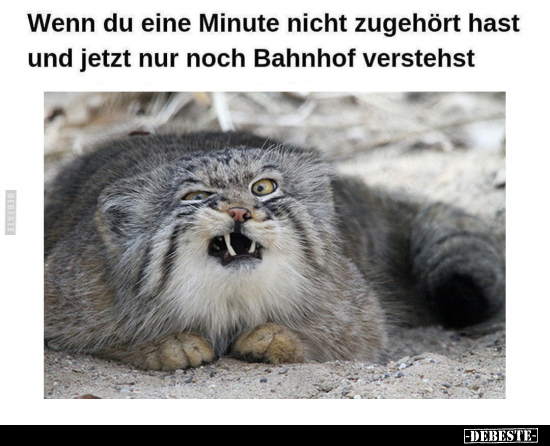 Wenn du eine Minute nicht zugehört hast und jetzt nur noch.. - Lustige Bilder | DEBESTE.de