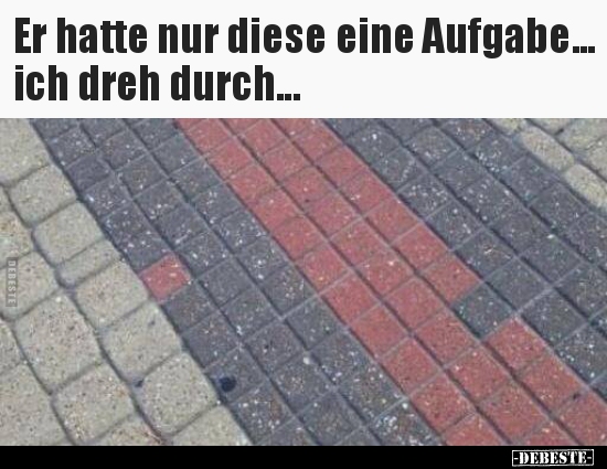 Er hatte nur diese eine Aufgabe... ich dreh durch...