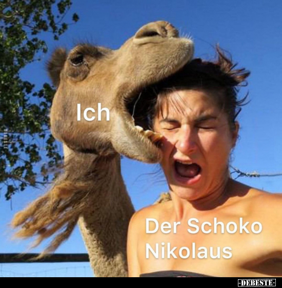 Ich / Der Schoko-Nikolaus.. - Lustige Bilder | DEBESTE.de