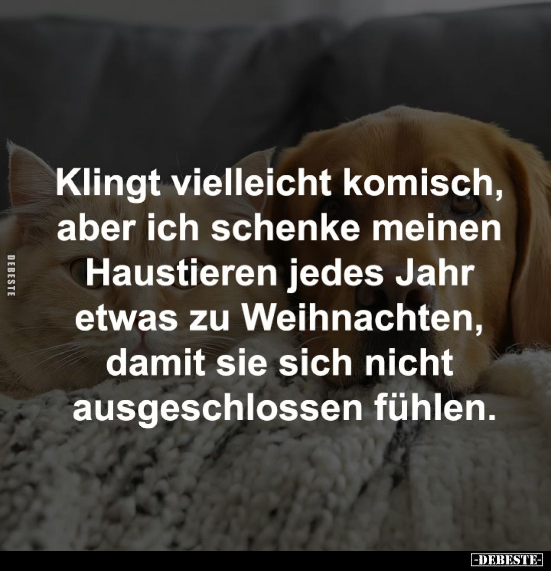 Klingt vielleicht komisch, 
aber ich schenke meinen 
Haustieren jedes Jahr 
etwas zu Weihnachten, 
damit sie sich nicht ...