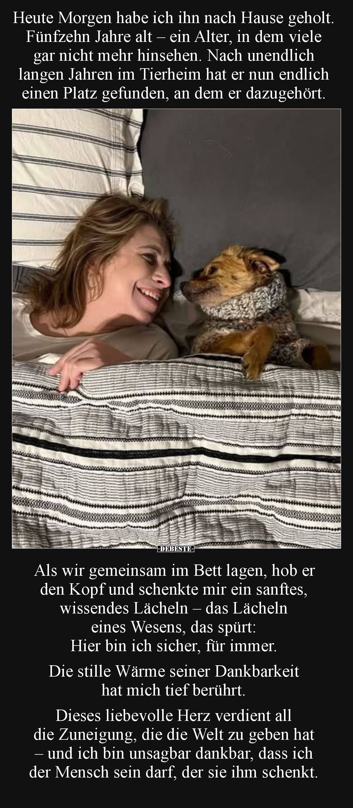 Heute Morgen habe ich ihn nach Hause geholt. Fünfzehn Jahre alt – ein Alter, in dem viele gar nicht mehr hinsehen. Nach unend...