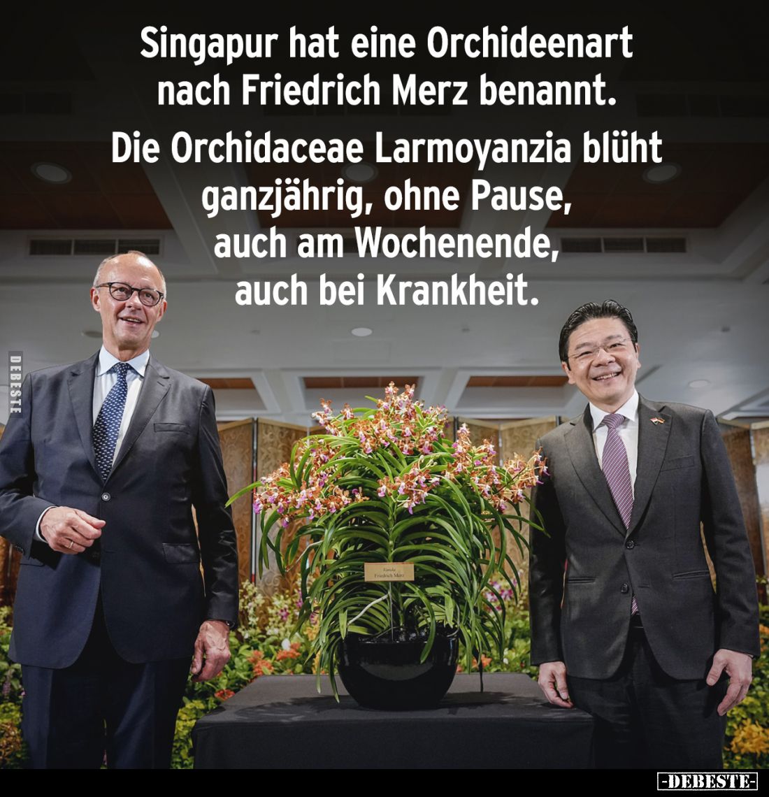Singapur hat eine Orchideenart nach Friedrich Merz benannt.
Die Orchidaceae Larmoyanzia blüht ganzjährig, ohne Pause, auch a...