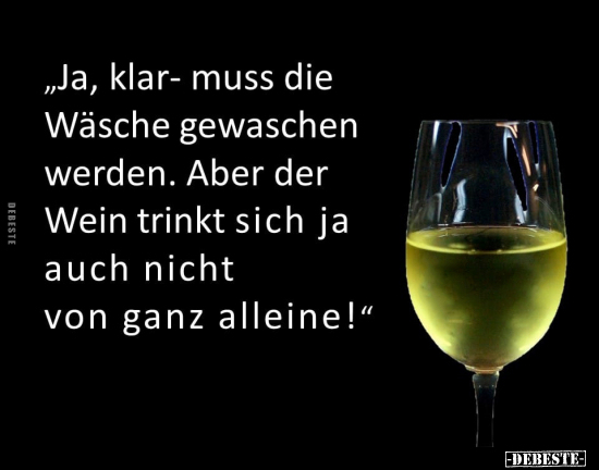 Ja, klar- muss die Wäsche gewaschen werden.. - Lustige Bilder | DEBESTE.de