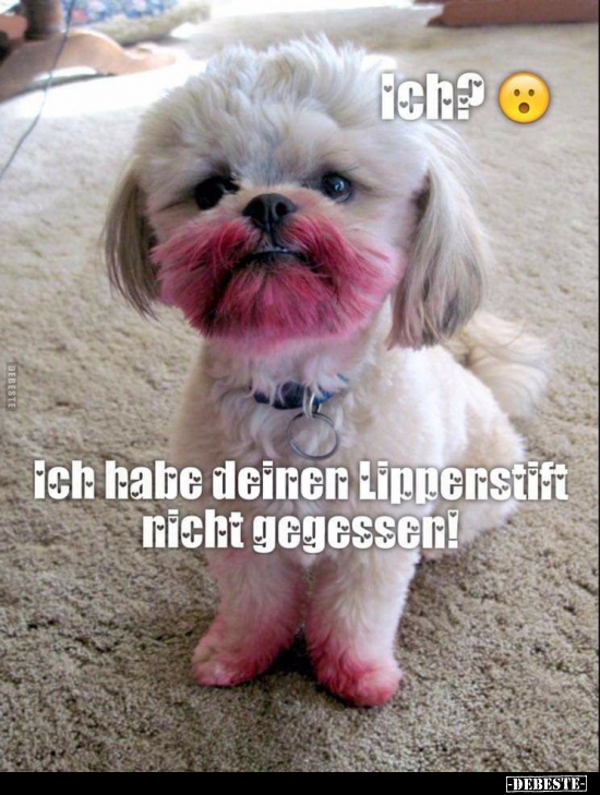 Ich? Ich habe deinen Lippenstift nicht gegessen!.. - Lustige Bilder | DEBESTE.de