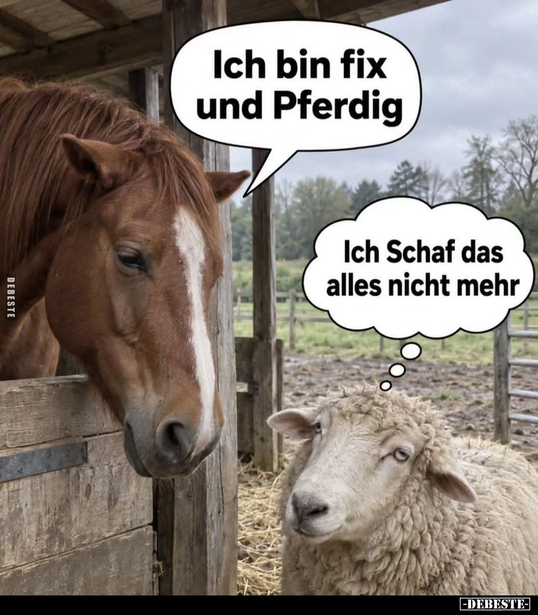 Ich bin fix und Pferdig. -
Ich Schaf das alles nicht mehr.
