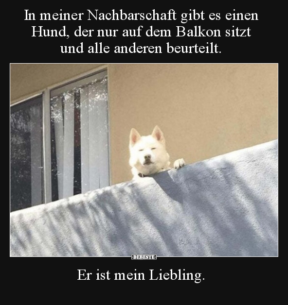 In meiner Nachbarschaft gibt es einen Hund, der nur auf.. - Lustige Bilder | DEBESTE.de