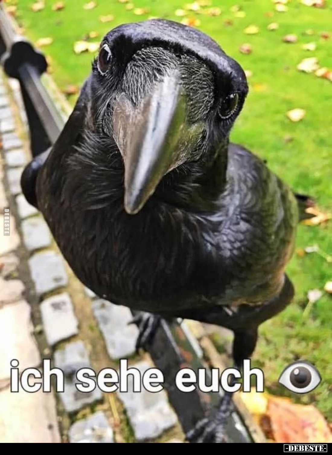 Ich sehe euch