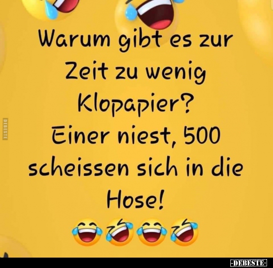 Warum gibt es zur Zeit zu wenig Klopapier? - Lustige Bilder | DEBESTE.de