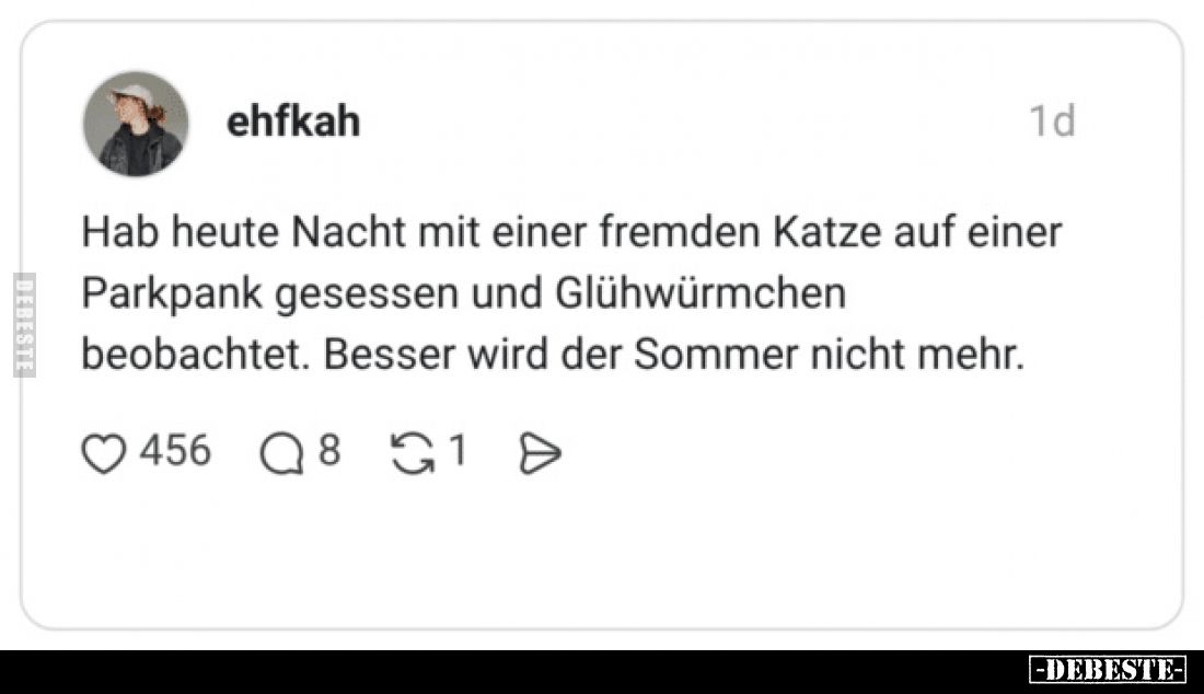 Hab heute Nacht mit einer fremden Katze auf einer Parkpank.. - Lustige Bilder | DEBESTE.de