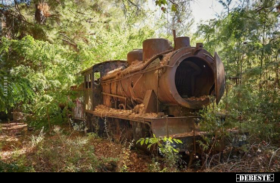  - Lustige Bilder | DEBESTE.de