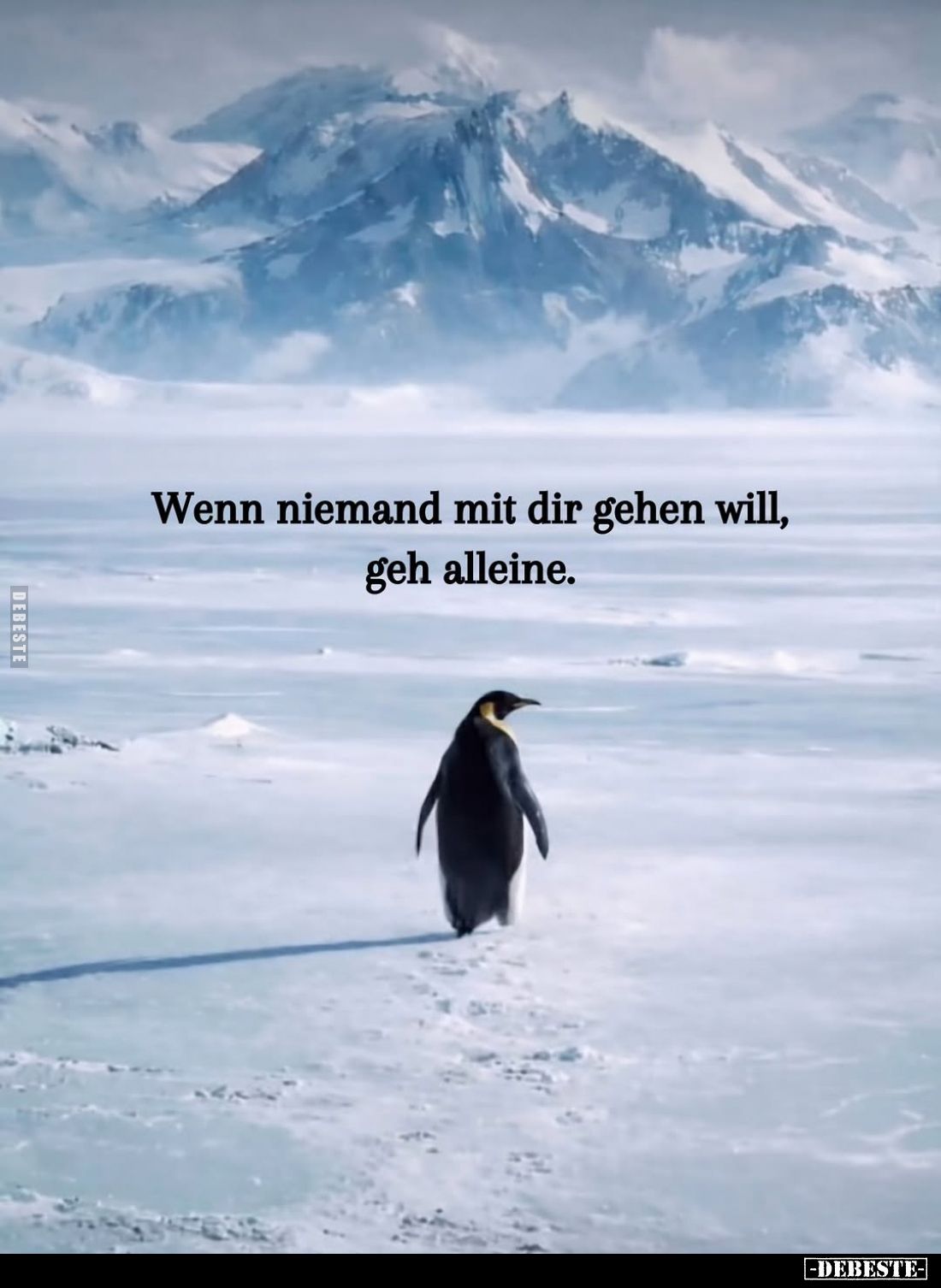 Wenn niemand mit dir gehen will, geh alleine.