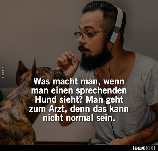 Was macht man, wenn man einen sprechenden Hund sieht?.. - Lustige Bilder | DEBESTE.de