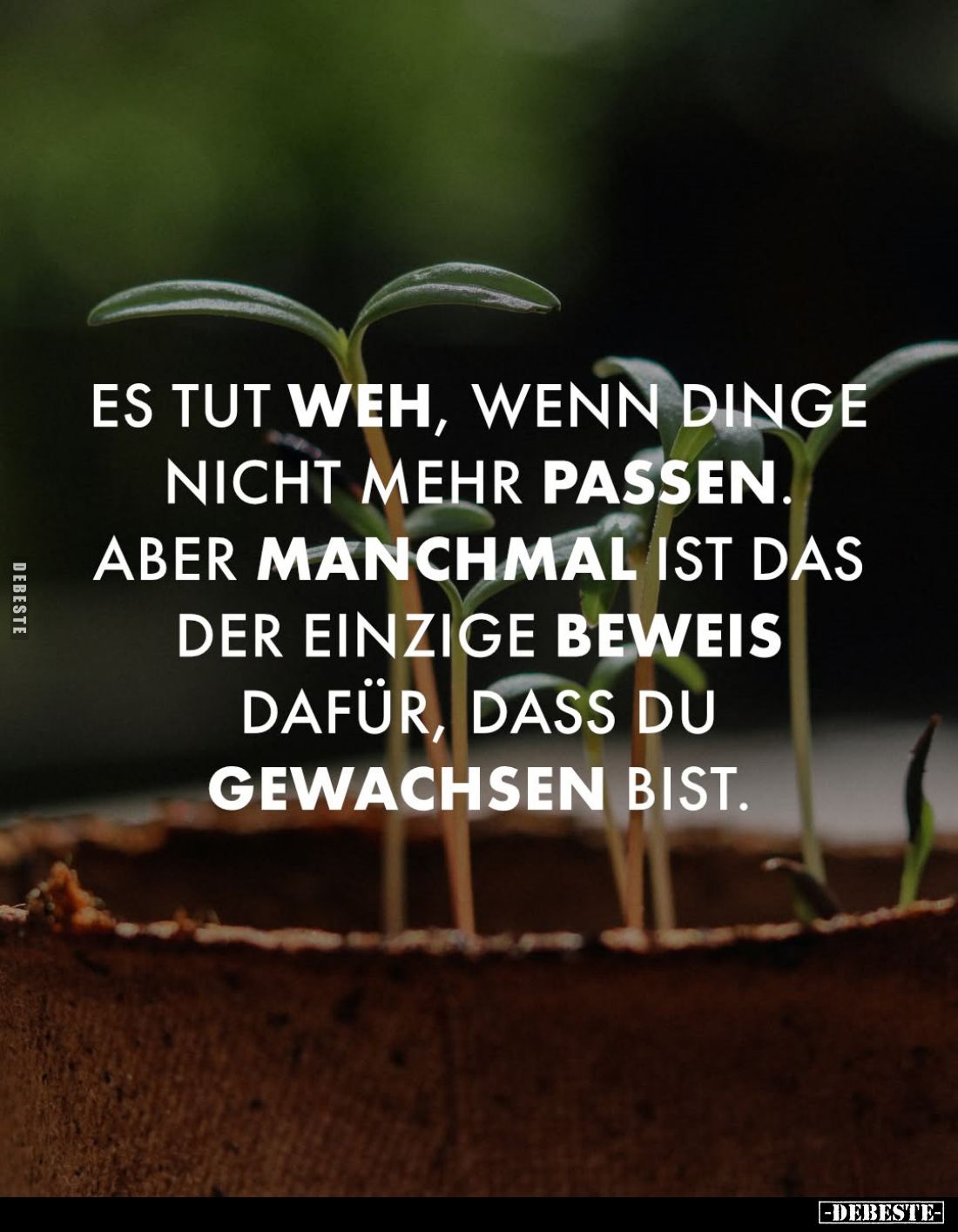 Es tut weh, wenn Dinge nicht mehr passen.
Aber manchmal ist das der einzige Beweis dafür, dass du gewachsen bist.