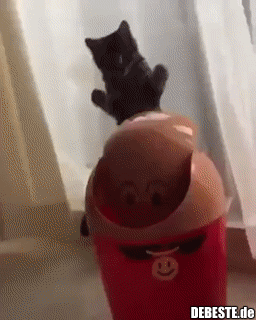 Das Training läuft großartig..