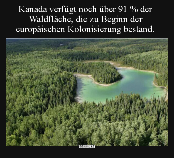 Kanada verfügt noch über 91 % der Waldfläche, die zu.. - Lustige Bilder | DEBESTE.de