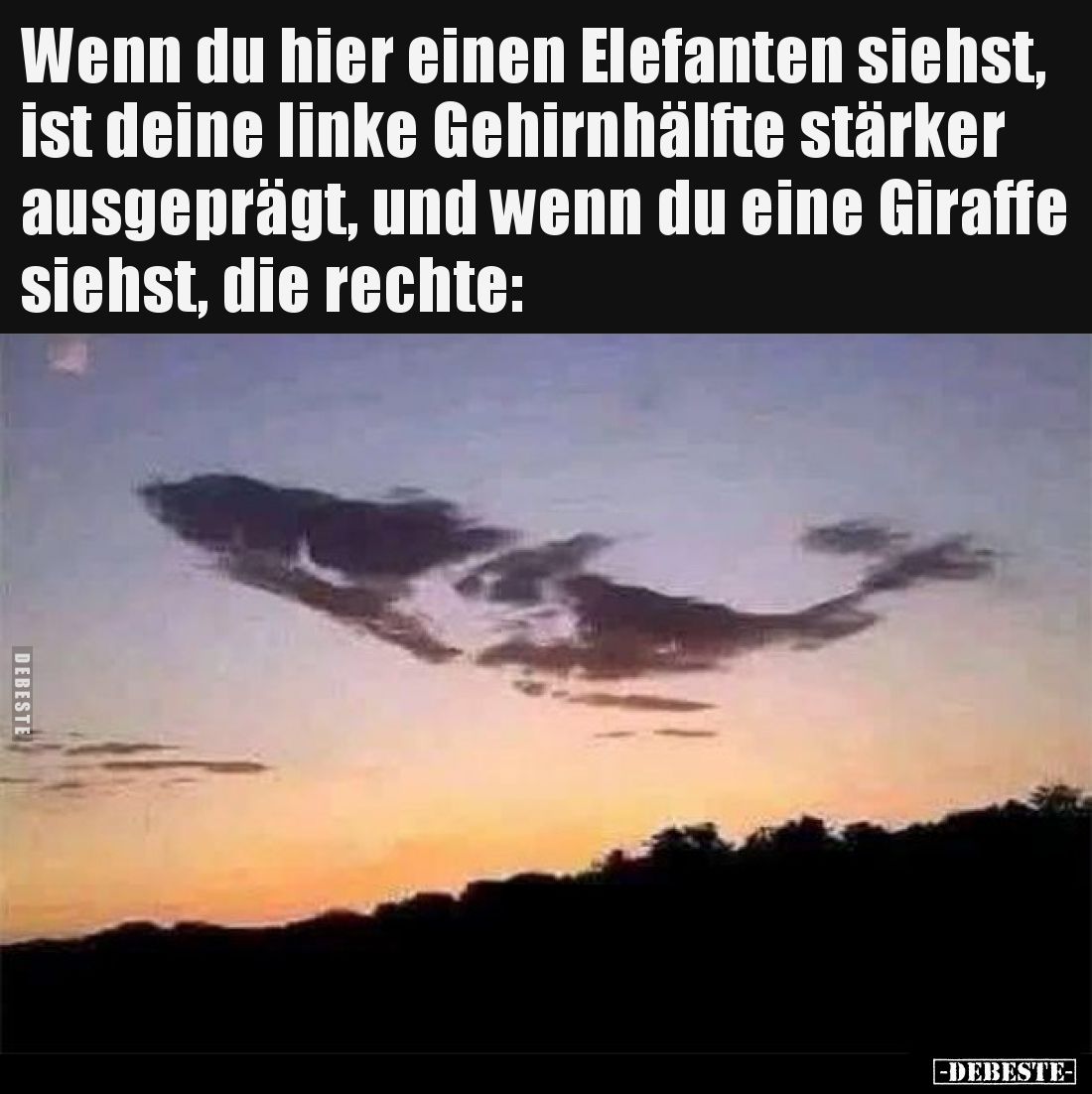 Wenn du hier einen Elefanten siehst, ist deine linke Gehirnhälfte stärker ausgeprägt, und wenn du eine Giraffe siehst, die re...