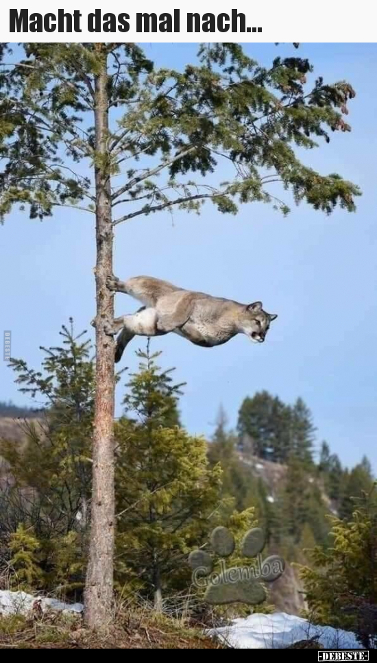 Macht das mal nach...