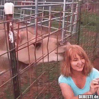 Endlich etwas für Feinschmecker..