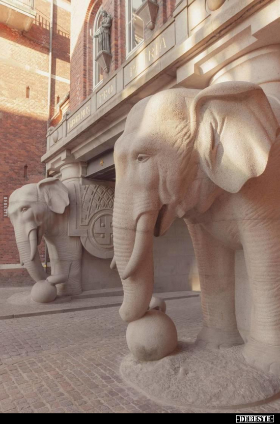  - Lustige Bilder | DEBESTE.de