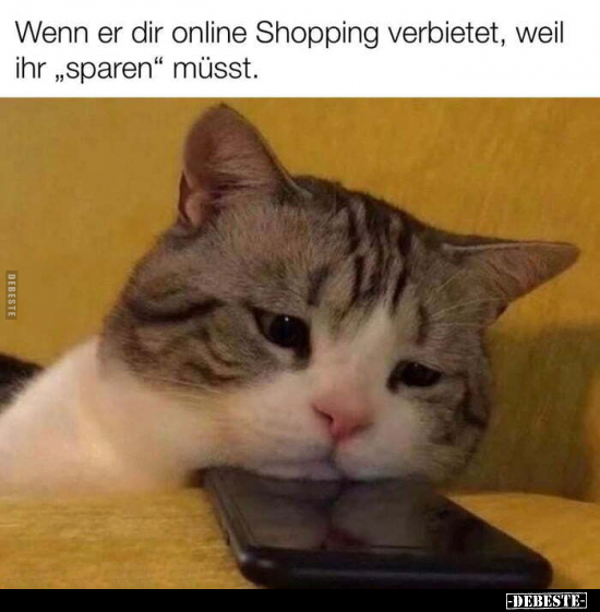 Wenn er dir online Shopping verbietet, weil ihr "sparen".. - Lustige Bilder | DEBESTE.de