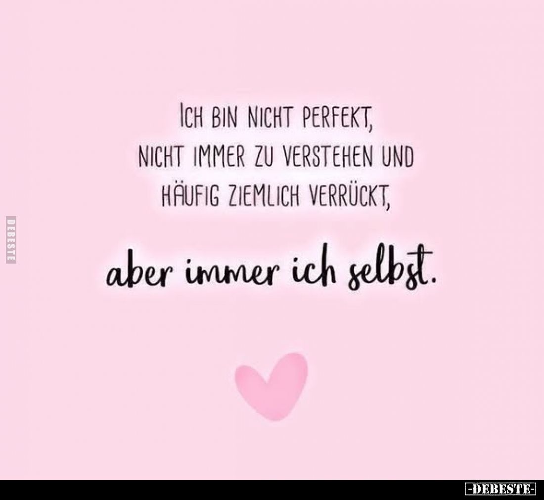 Ich bin nicht perfekt, nicht immer zu verstehen und häufig.. - Lustige Bilder | DEBESTE.de