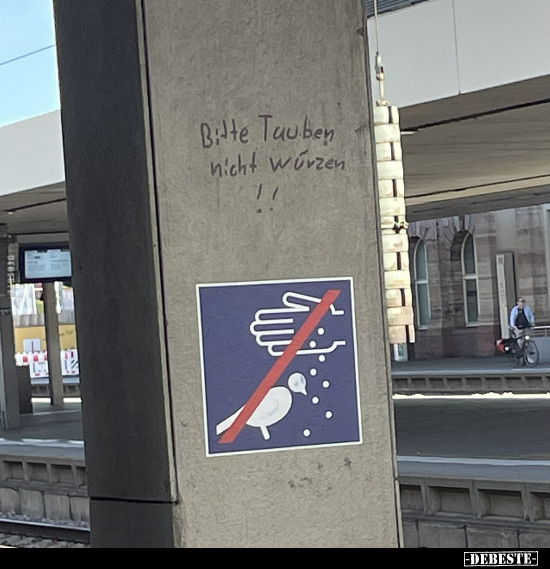 Bitte Tauben nicht würzen!!.. - Lustige Bilder | DEBESTE.de