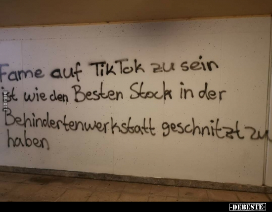 Fame auf TikTok zu sein ist wie den Besten Stock in der.. - Lustige Bilder | DEBESTE.de