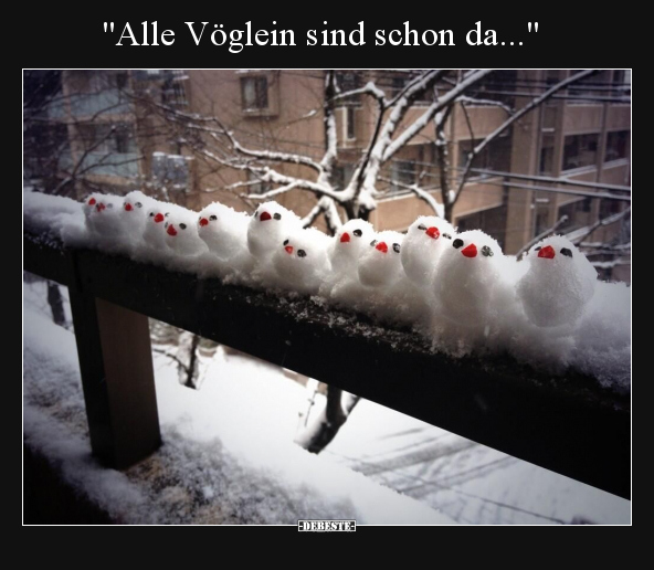"Alle Vöglein sind schon da..."